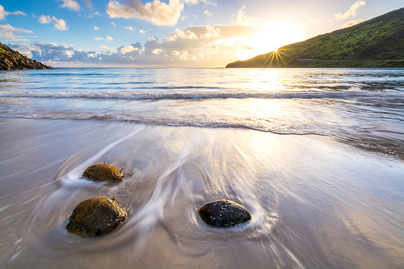 Sandy Bank Beach, St. Kitts, West Indies