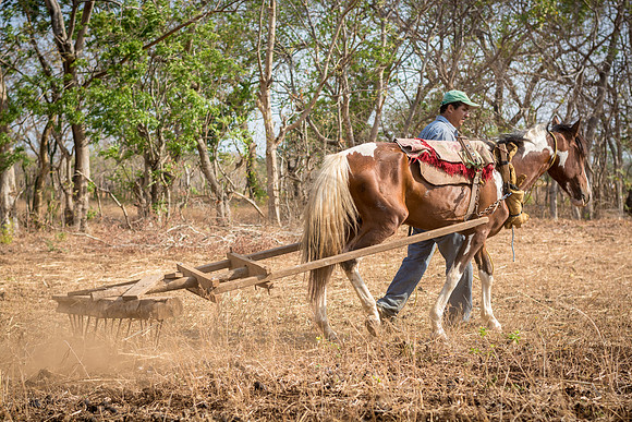 Javier, Diriamba, Nicaragua