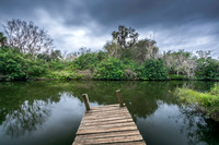 Turkey Creek Sanctuary, Palm Bay, Florida
